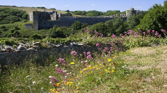 Pembrokeshire Coast National Park, Wales