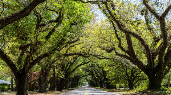 Aiken, South Carolina