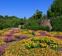 Asheville Scenery