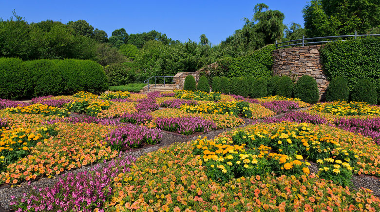 <b>Asheville Scenery</b>