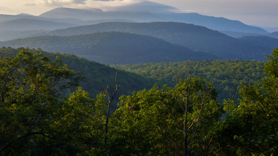 Blue Ridge Parkway, Virginia