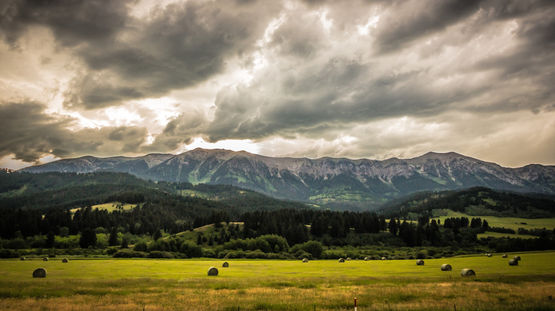 Bridger Bowl Ski Area, Montana