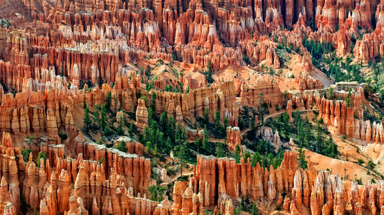 Bryce Canyon Natl Pk, Utah