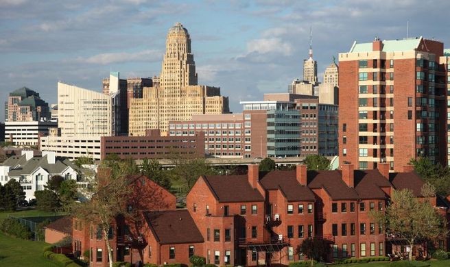 Buffalo Scenery