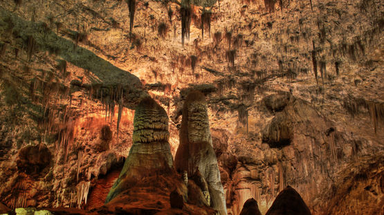 Carlsbad Caverns Natl Pk, New Mexico