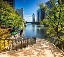 Chicago Scenery
