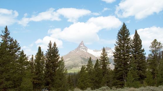 Cooke City, Montana