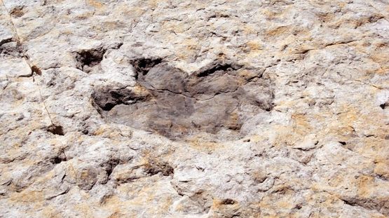 Dinosaur National Monument, Colorado