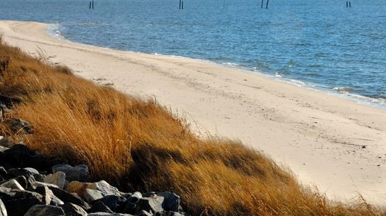 Eastern Shore, The, Virginia