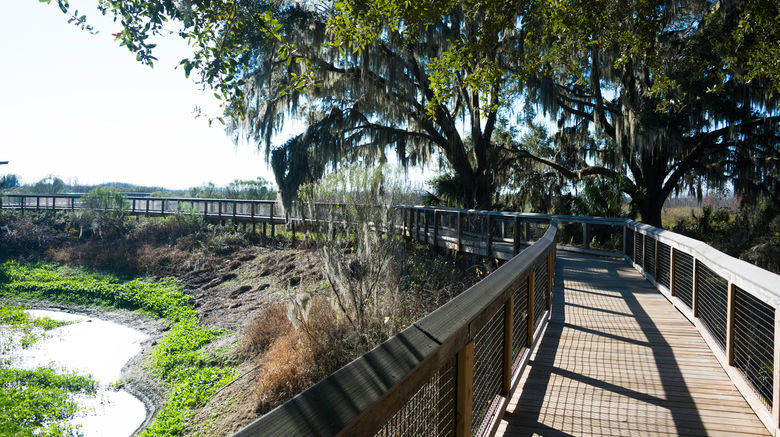<b>Gainesville Scenery</b>