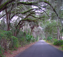 Gainesville Scenery