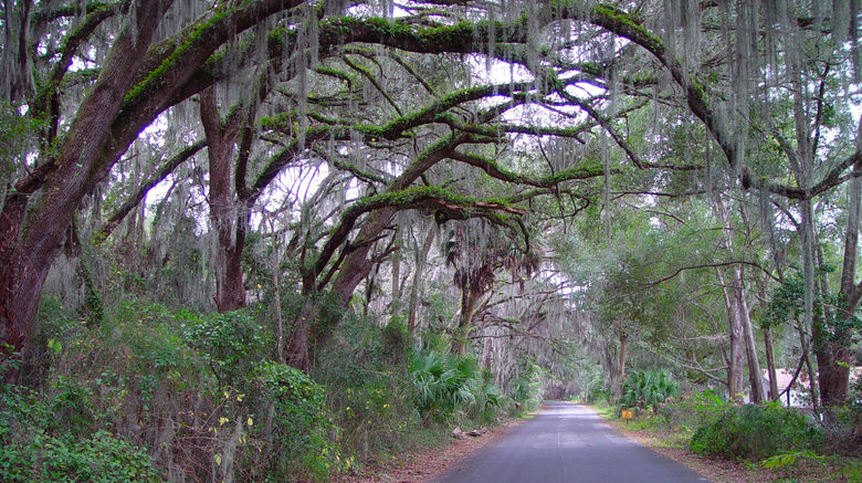 <b>Gainesville Scenery</b>