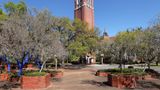 Gainesville Scenery