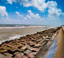 Galveston Scenery