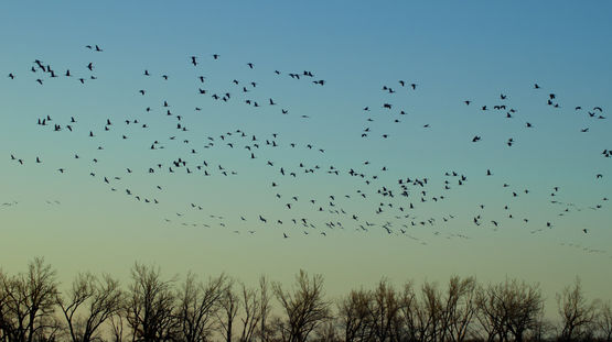 Grand Island, Nebraska