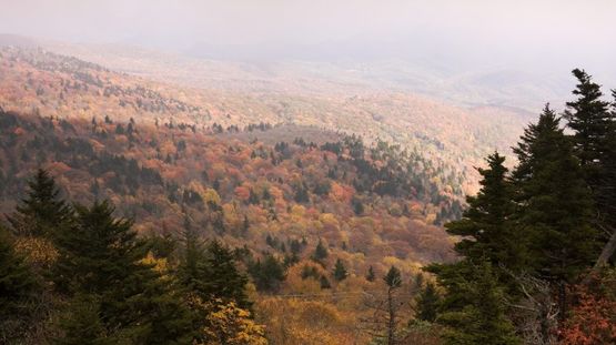 Grandfather Mountain, North Carolina