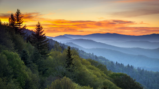 Great Smoky Mountains National Park, North Carolina