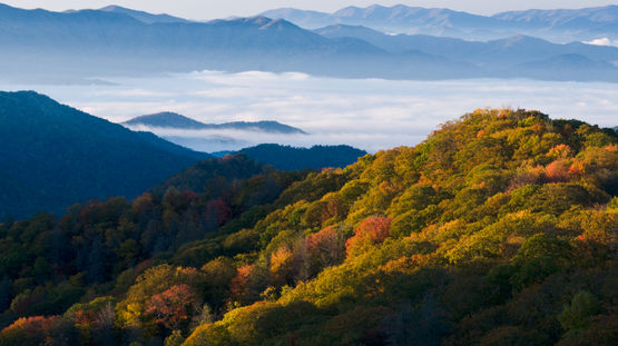 Great Smoky Mountains National Park, Tennessee