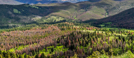 Helena Scenery