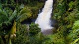 Hilo Scenery
