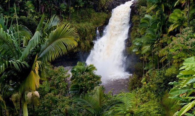 Hilo Scenery