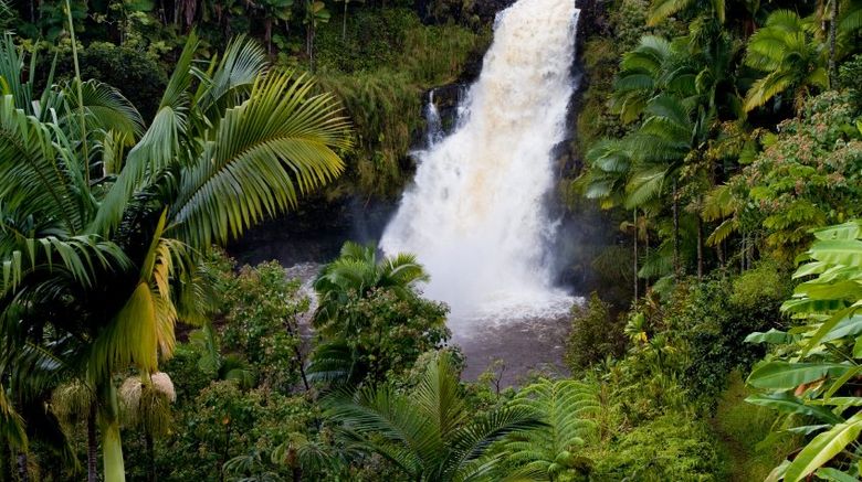 Hilo Scenery