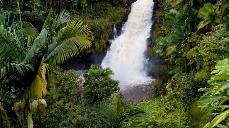 Hilo Area Guide