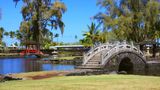 Hilo Scenery