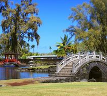 Hilo Scenery
