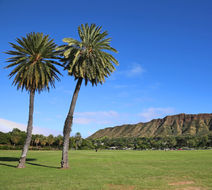 Honolulu Scenery