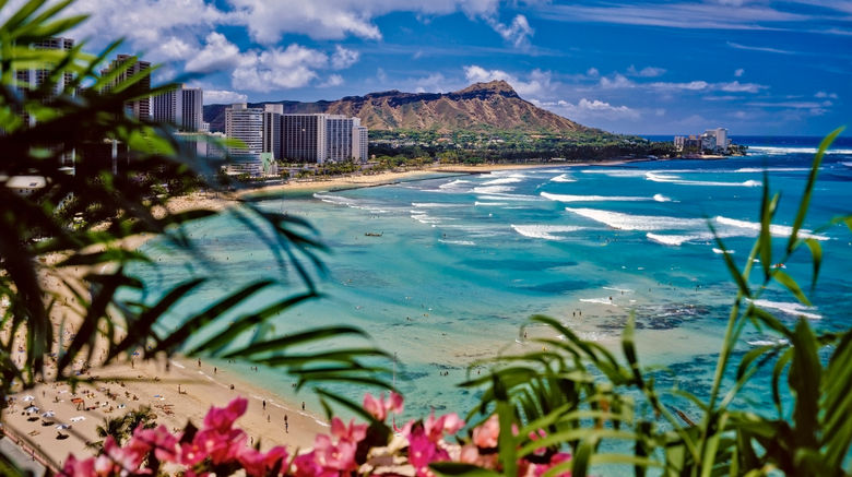 <b>Honolulu Scenery</b>