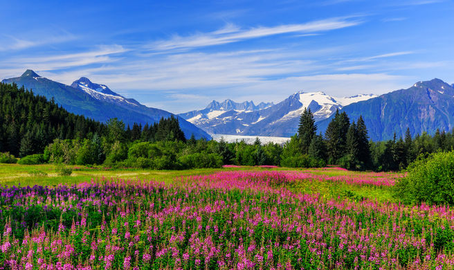 Juneau Scenery
