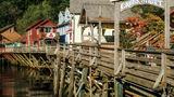Ketchikan Scenery