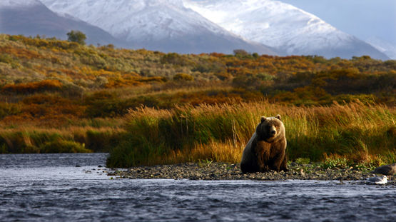 Kodiak, Alaska