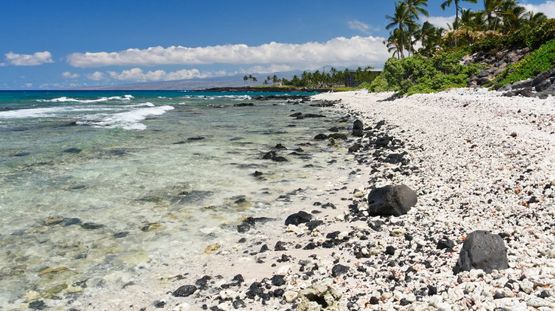 Kohala, Hawaii