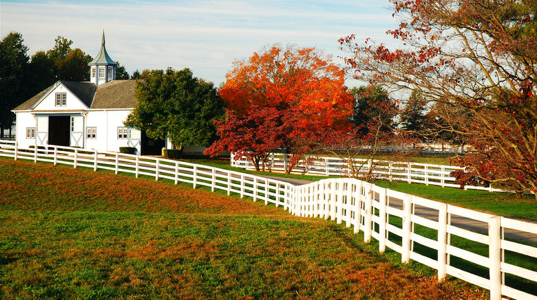 <b>Lexington Scenery</b>