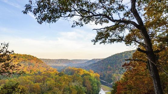 Mammoth Cave Natl Park, Kentucky