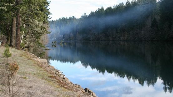 Mckenzie River, Oregon