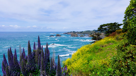 Mendocino County, California