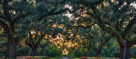 Myrtle Beach Scenery