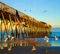 Myrtle Beach Scenery
