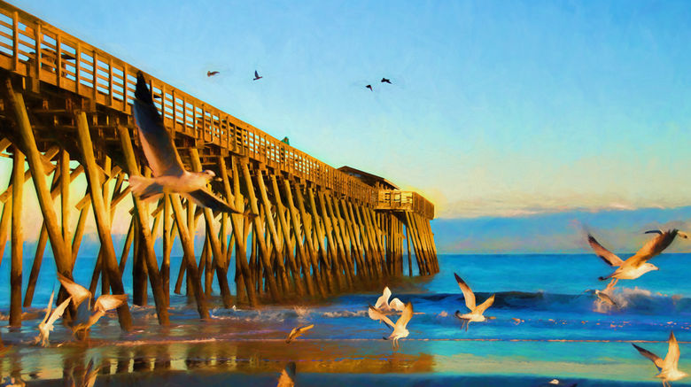 <b>Myrtle Beach Scenery</b>
