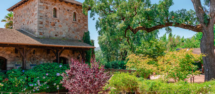 Napa Valley Scenery