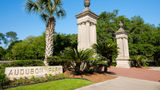 <b>New Orleans Scenery</b>