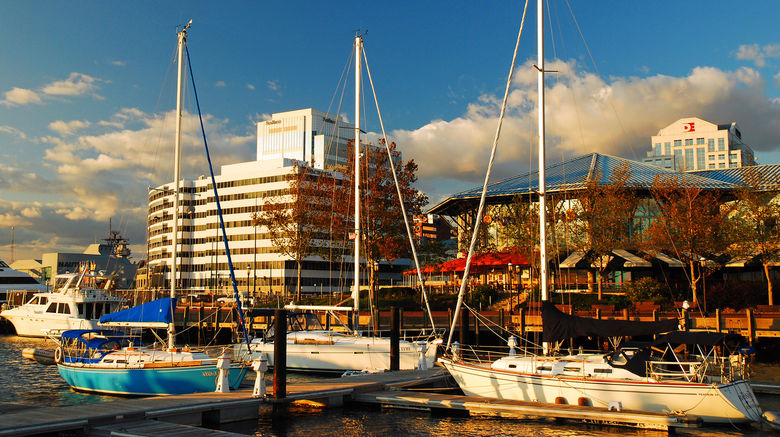 <b>Norfolk Scenery</b>
