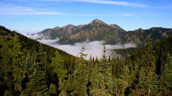 Olympic National Park, Washington