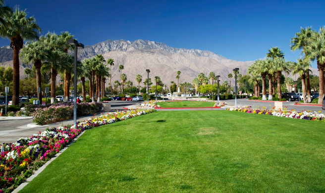 Palm Springs Scenery