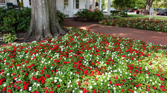Pinehurst, North Carolina