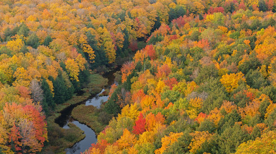 Porcupine Mtns State Pk, Michigan