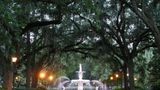 Savannah Scenery